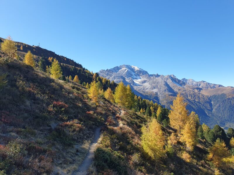 klarheit und ausblick gewinnen