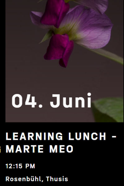 Story Thusis, Learning Lunch Story Thusis, Learning Lunch
